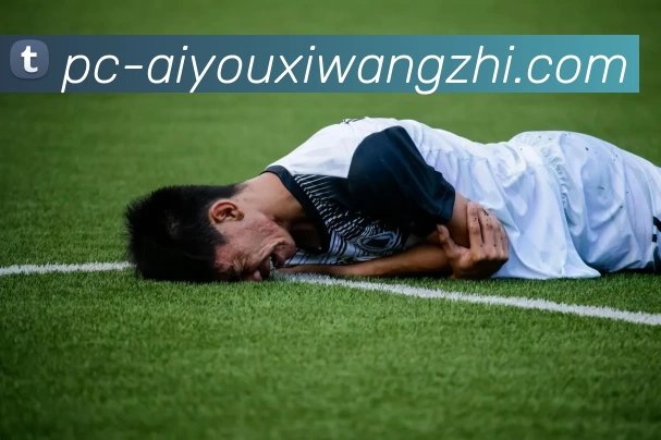 奖项证书